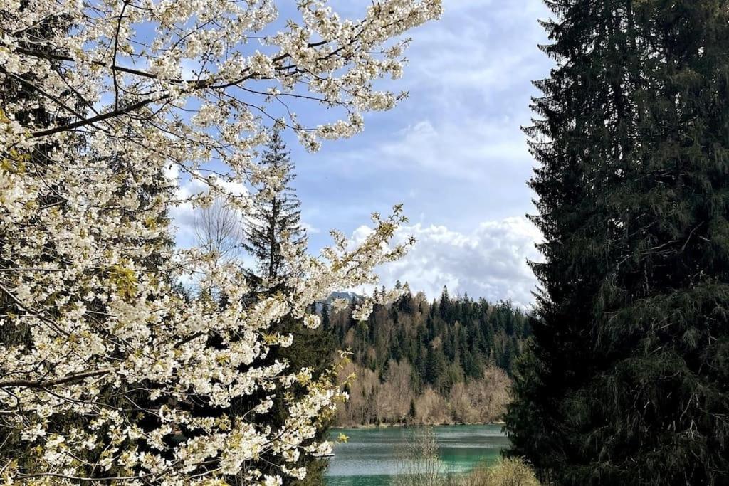 Wohnung Mit Fantastischer Aussicht Trin Zewnętrze zdjęcie